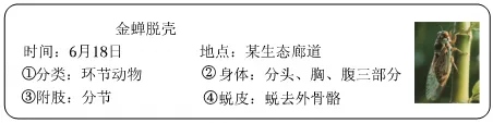 2026年云南省中考生物试卷 真题-第1张图片-四季读书网