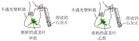 2026年云南省中考生物试卷 真题-第3张图片-四季读书网