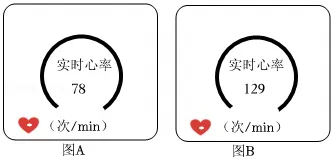 2026年云南省中考生物试卷 真题-第10张图片-四季读书网