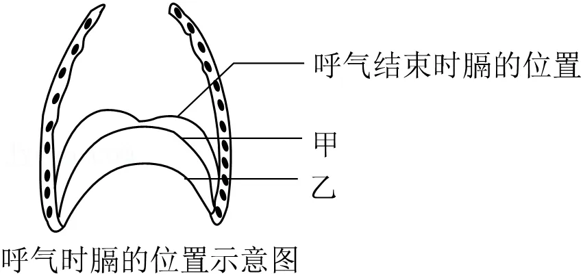 2026年云南省中考生物试卷 真题-第11张图片-四季读书网