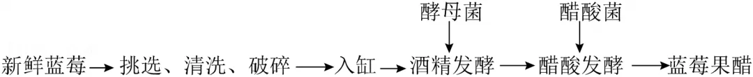 2026年云南省中考生物试卷 真题-第13张图片-四季读书网