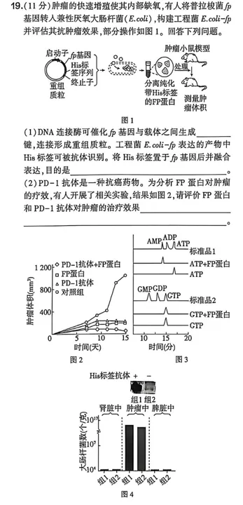 2026年四川卷真题分析19题-基于能量剥夺的治疗方案-第2张图片-四季读书网