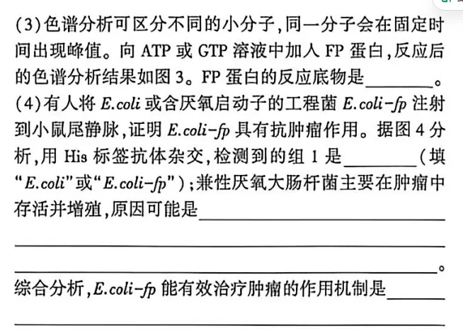 2026年四川卷真题分析19题-基于能量剥夺的治疗方案-第3张图片-四季读书网