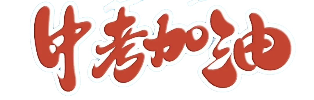 藏蓝为盾 逐梦前行!海州公安全力护航中考-第3张图片-四季读书网 藏蓝为盾 逐梦前行!海州公安全力护航中考-第3张图片-四季读书网