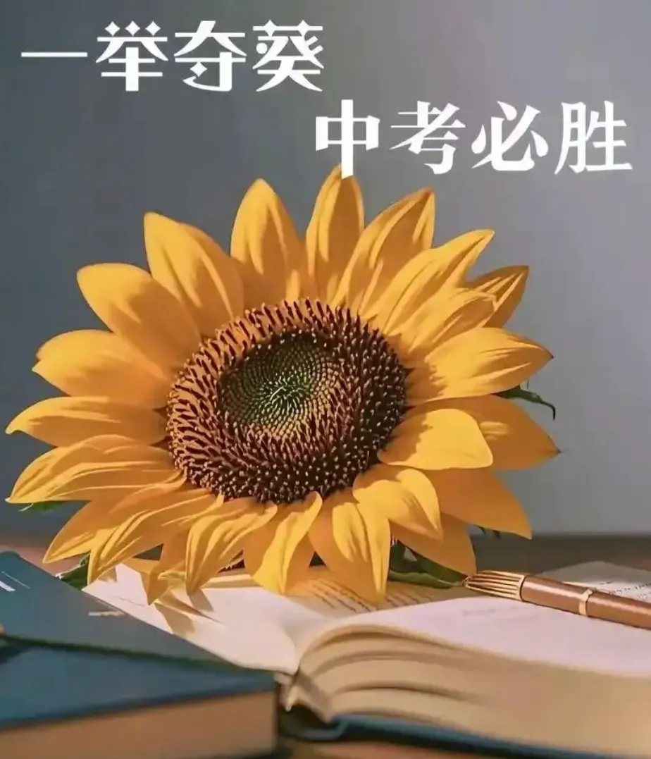 【中考写作指津】2026年福建省中考作文写作指津及习作赏析-第4张图片-四季读书网
