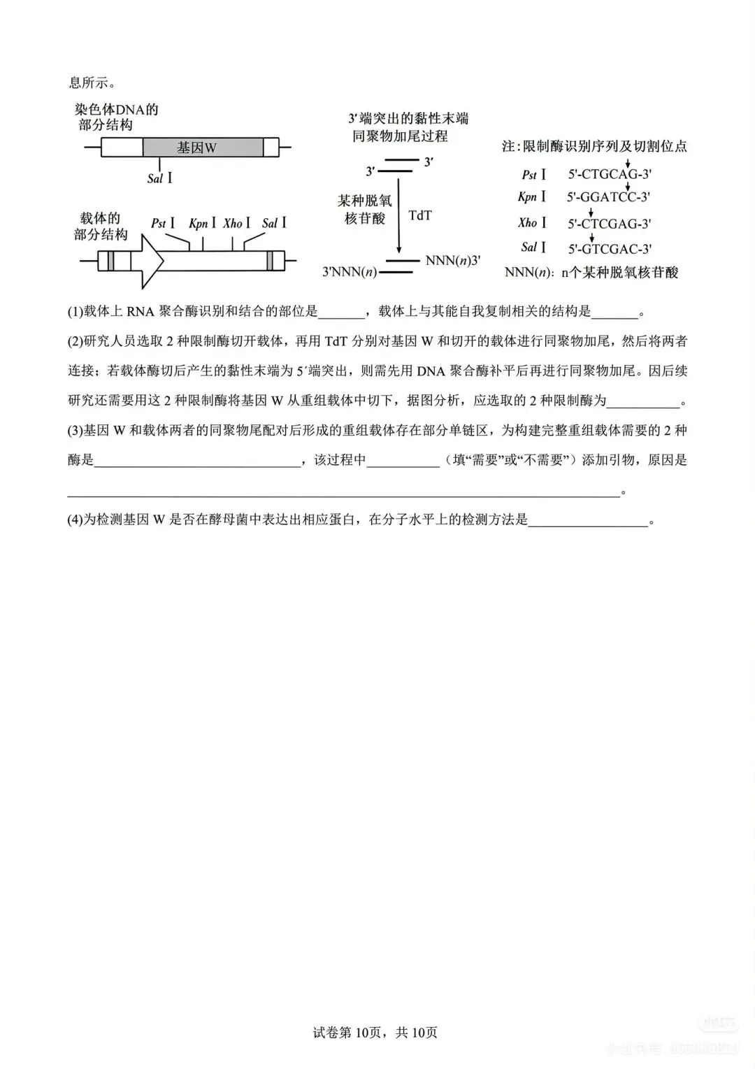 2026高考化学(山东卷)真题及参考答案-第10张图片-四季读书网 2026高考化学(山东卷)真题及参考答案-第10张图片-四季读书网