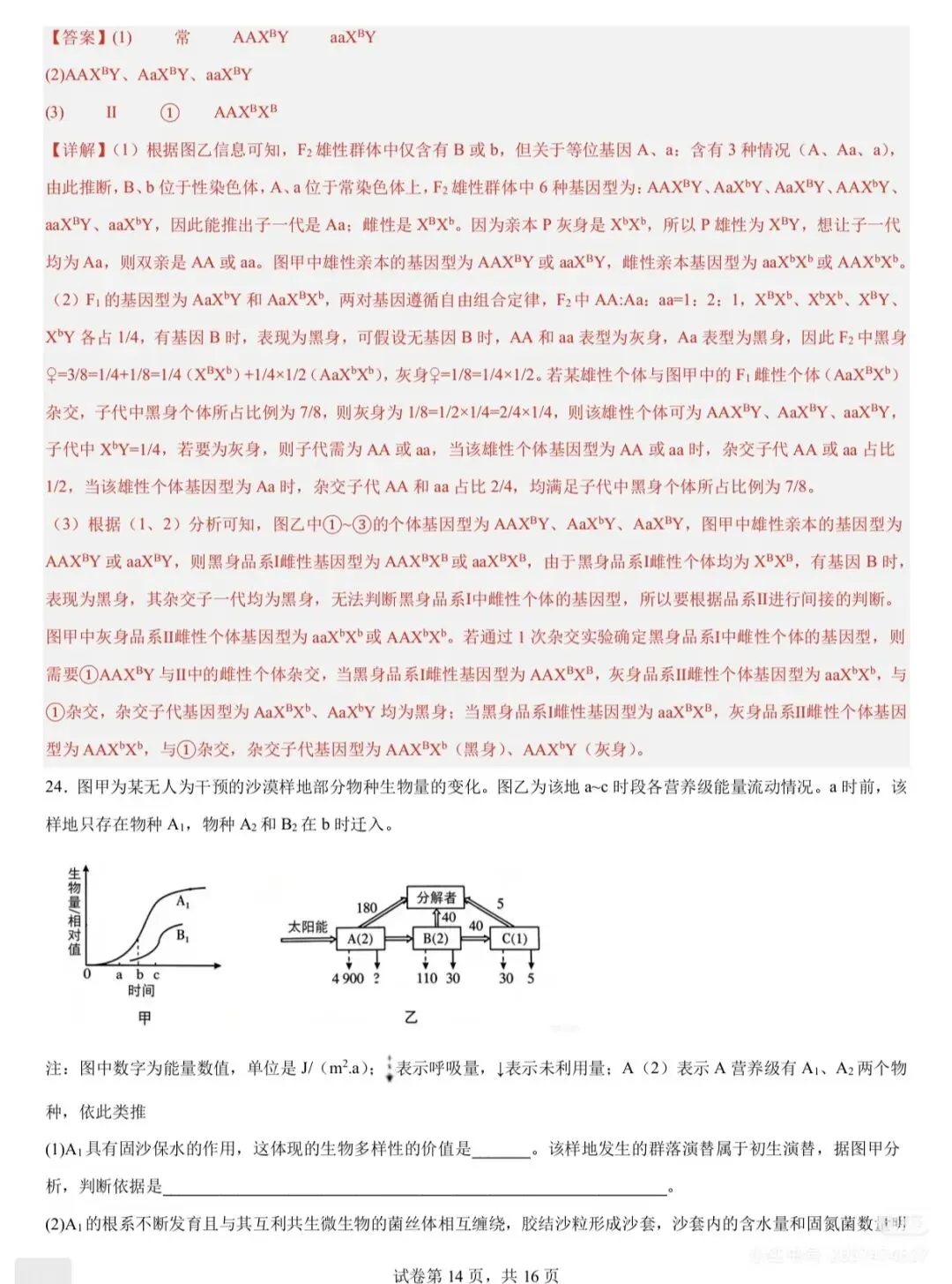 2026高考化学(山东卷)真题及参考答案-第25张图片-四季读书网 2026高考化学(山东卷)真题及参考答案-第25张图片-四季读书网