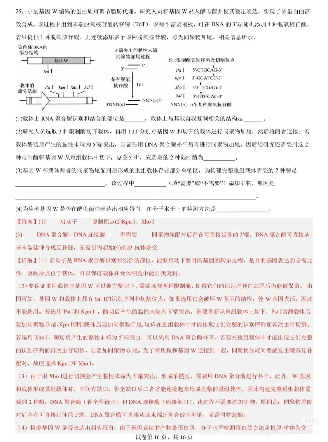 2026高考化学(山东卷)真题及参考答案-第27张图片-四季读书网 2026高考化学(山东卷)真题及参考答案-第27张图片-四季读书网