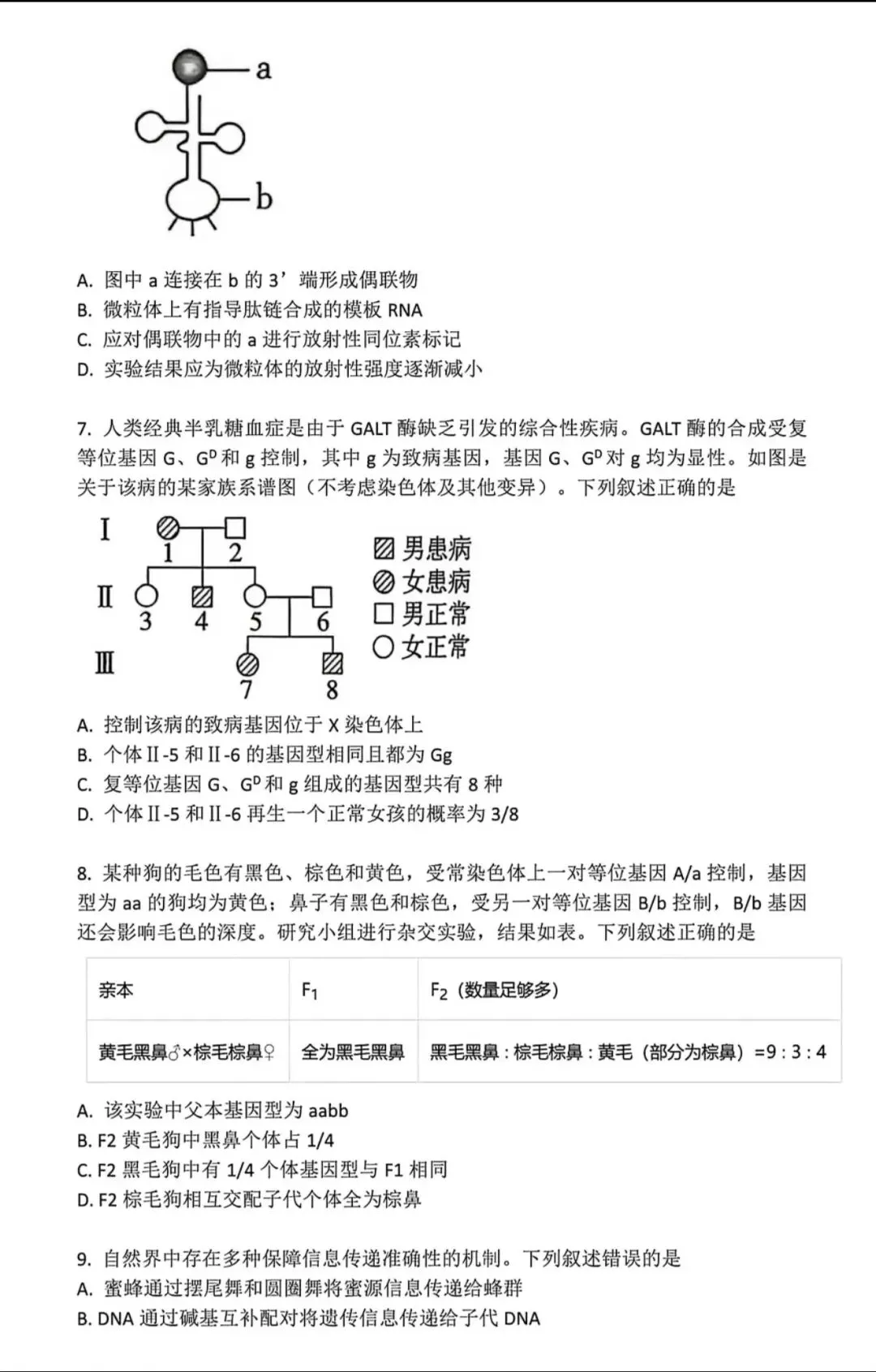 [高考真题]2026年贵州省普通高中学业水平选择性考试生物学-第2张图片-四季读书网