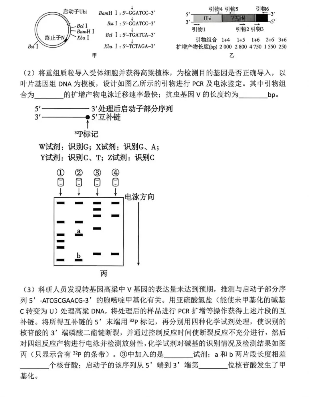 [高考真题]2026年贵州省普通高中学业水平选择性考试生物学-第7张图片-四季读书网