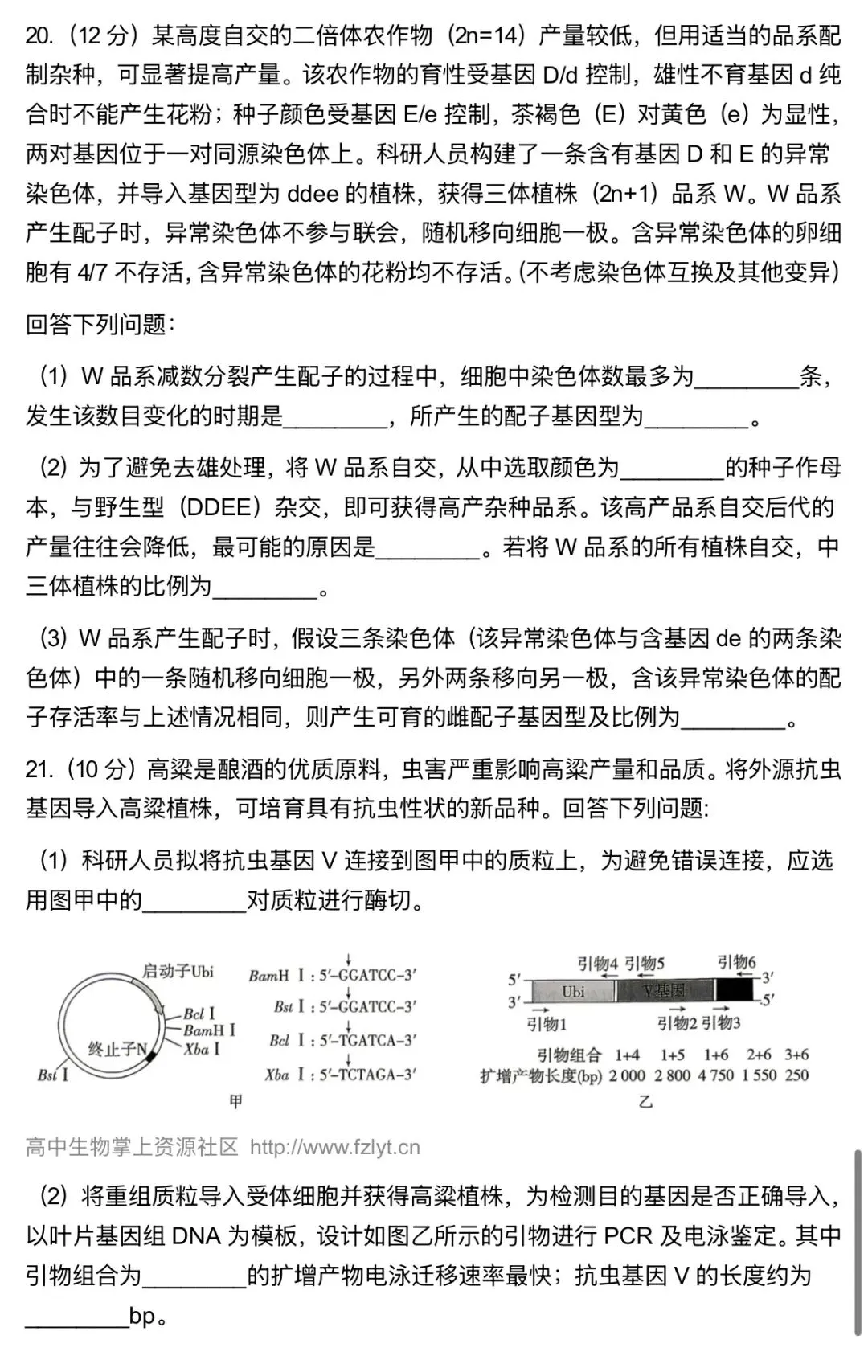 2026贵州6月高考真题-第8张图片-四季读书网