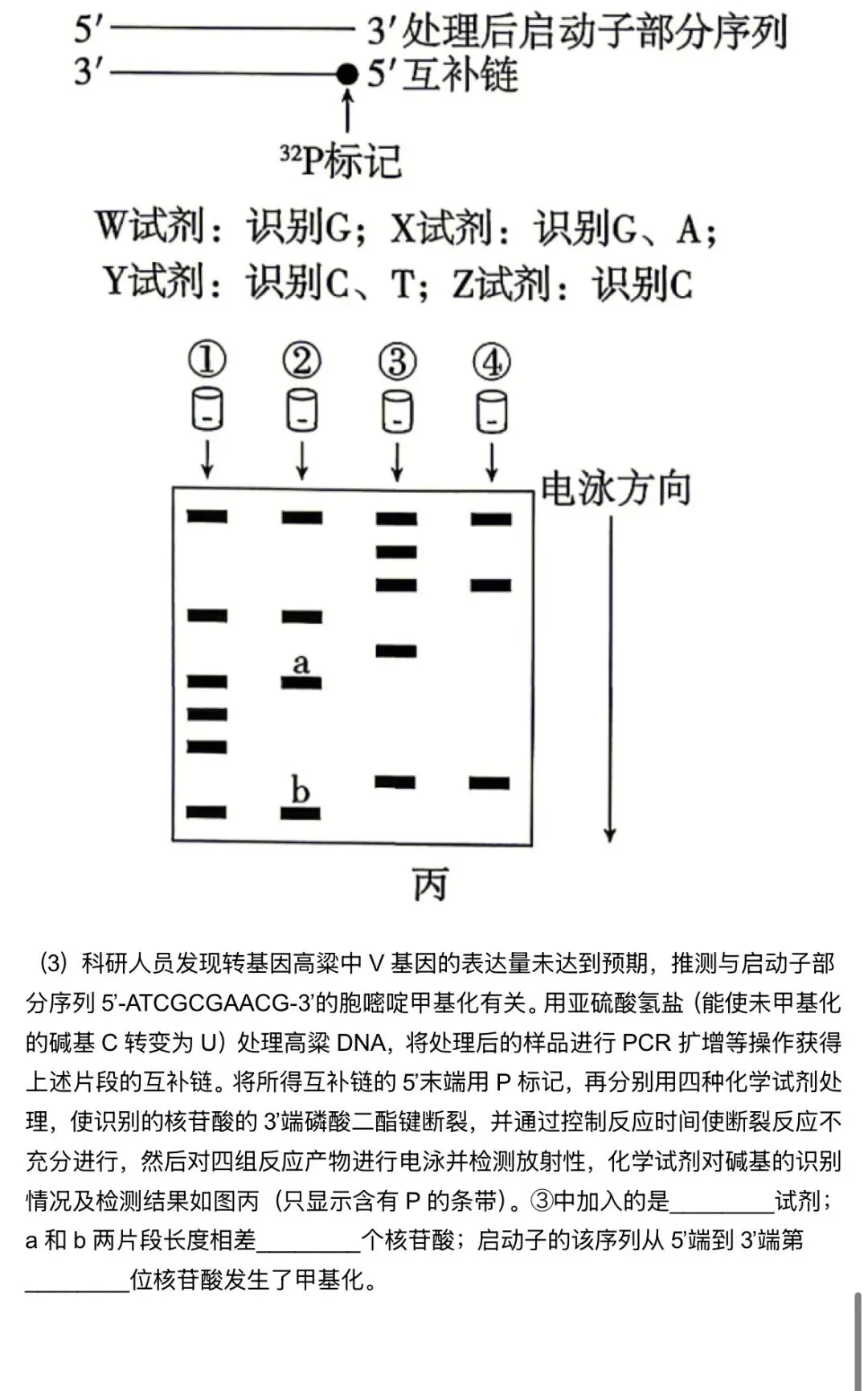 2026贵州6月高考真题-第9张图片-四季读书网