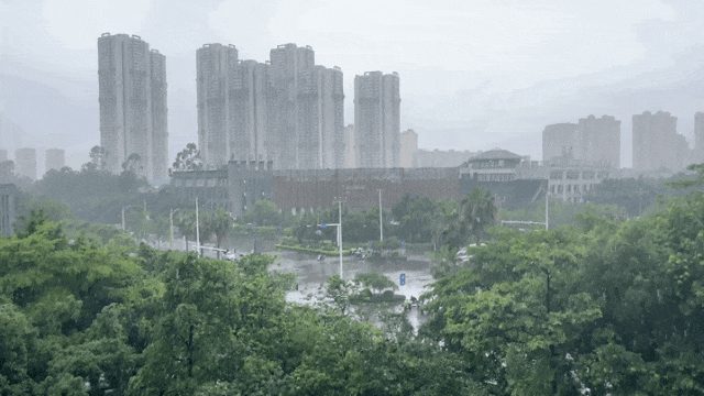 中考有雨!来宾大部中雨、局地暴雨,考生记得带伞-第3张图片-四季读书网
