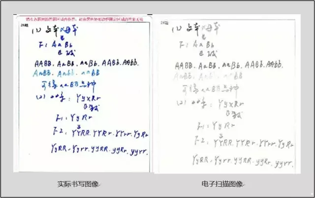 阅卷老师提醒:中考判卷遇到这几种书写方式会扣分!考生避雷!-第2张图片-四季读书网