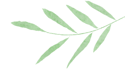 夏至逢中考,梅雨温柔送考,明后天雨水升级-第5张图片-四季读书网 夏至逢中考,梅雨温柔送考,明后天雨水升级-第5张图片-四季读书网