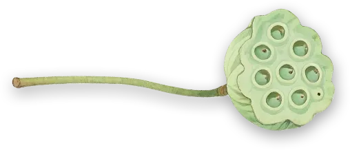 夏至遇中考!明后天雷雨、强对流需重点防范!-第5张图片-四季读书网