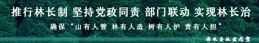 暖心护航!浠水公安全力守护中考学子逐梦路-第19张图片-四季读书网