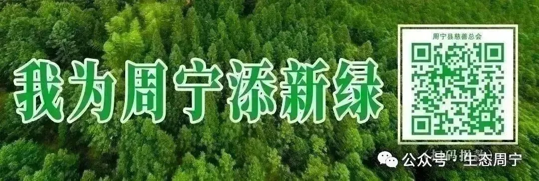 中考首日!周宁多方护航学子执笔逐梦→-第1张图片-四季读书网