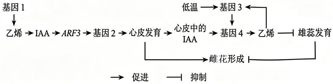 2026年高考生物真题(云南卷)-第1张图片-四季读书网 2026年高考生物真题(云南卷)-第1张图片-四季读书网