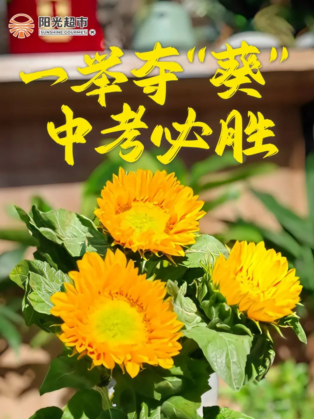 中考必胜!阳光超市这波“满分”好运请查收-第1张图片-四季读书网 中考必胜!阳光超市这波“满分”好运请查收-第1张图片-四季读书网