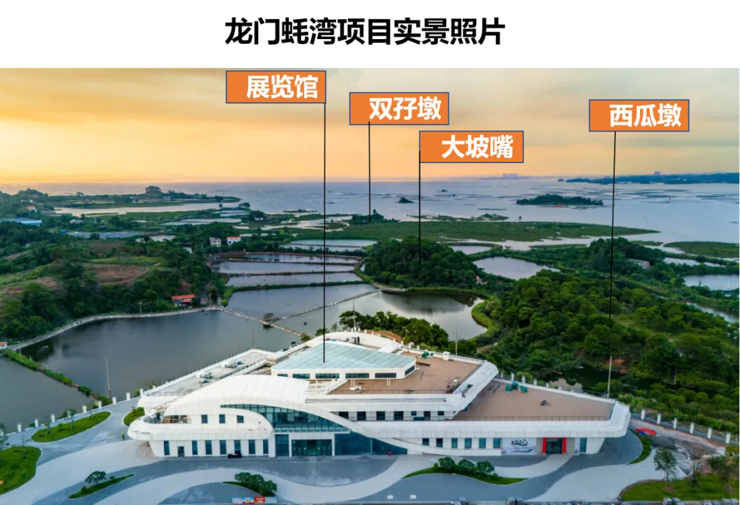中考收官,跃龙门,登青云梯!-第8张图片-四季读书网