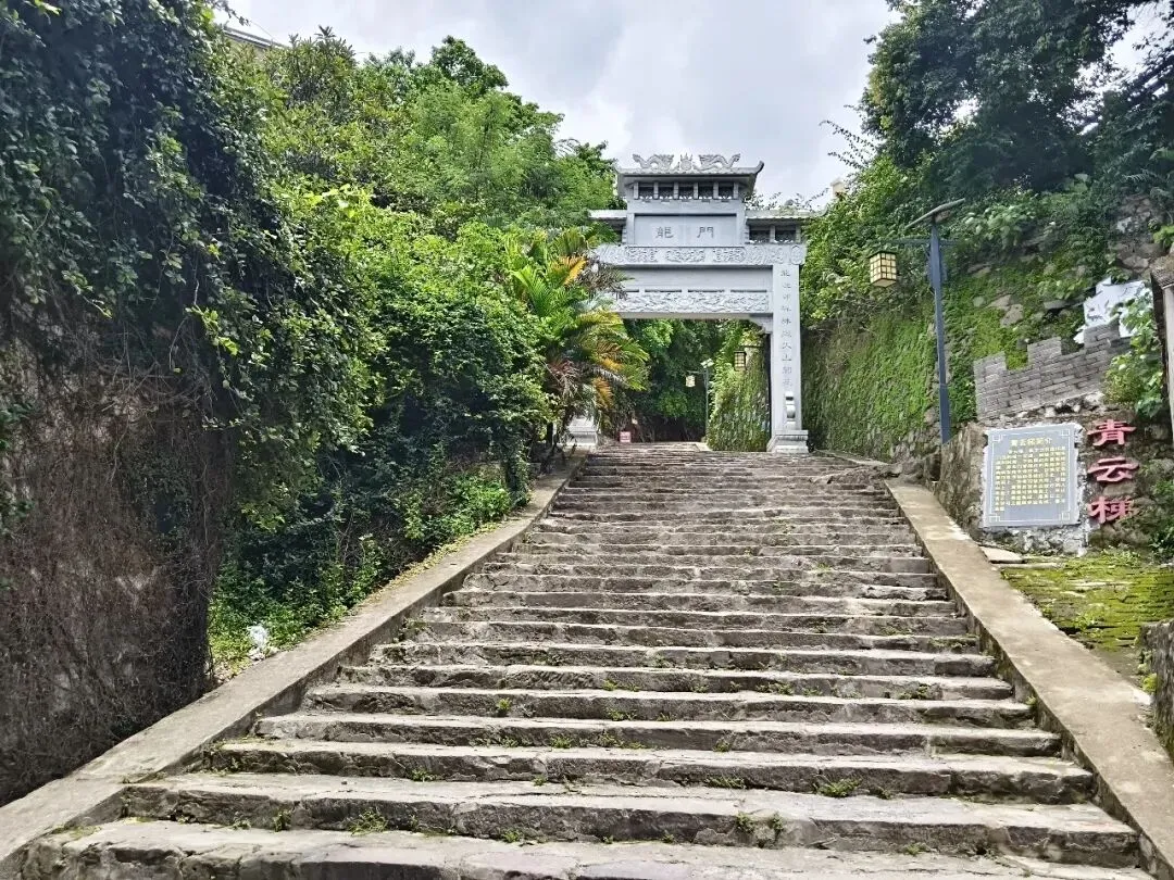 中考收官,跃龙门,登青云梯!-第9张图片-四季读书网