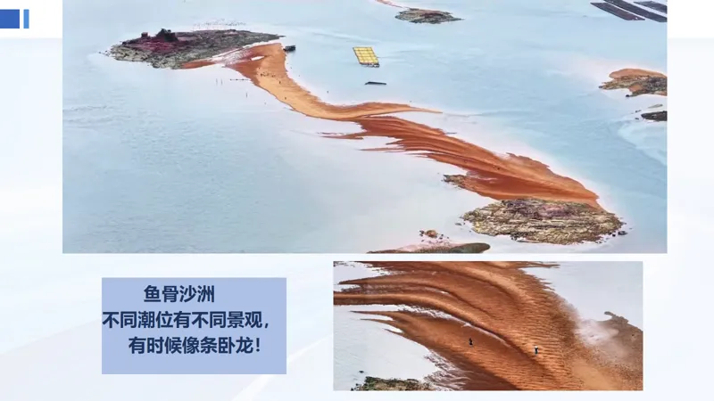 中考收官,跃龙门,登青云梯!-第20张图片-四季读书网