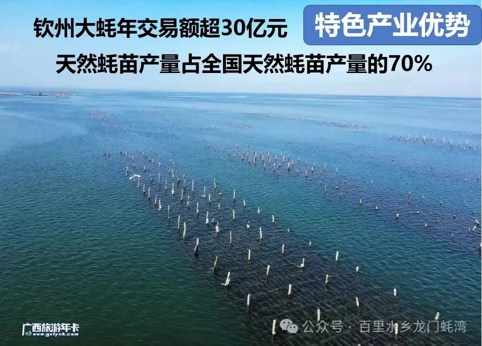 中考收官,跃龙门,登青云梯!-第23张图片-四季读书网