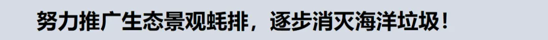 中考收官,跃龙门,登青云梯!-第27张图片-四季读书网