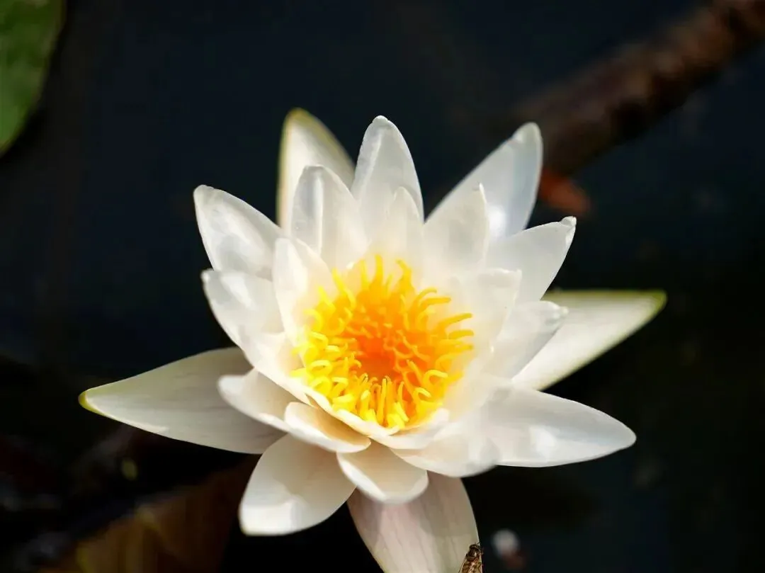 夏至•父亲节•中考-第1张图片-四季读书网 夏至•父亲节•中考-第1张图片-四季读书网