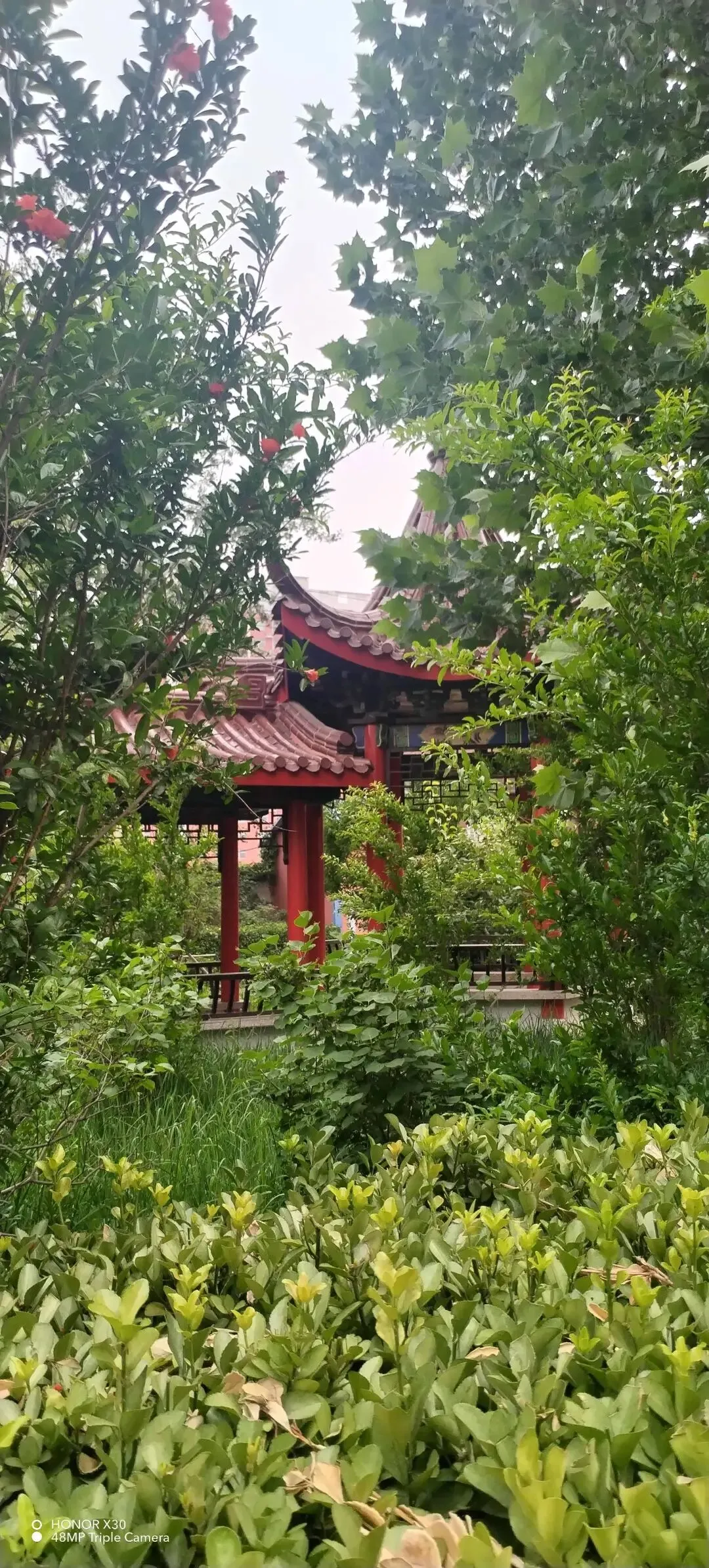夏至•父亲节•中考-第2张图片-四季读书网 夏至•父亲节•中考-第2张图片-四季读书网