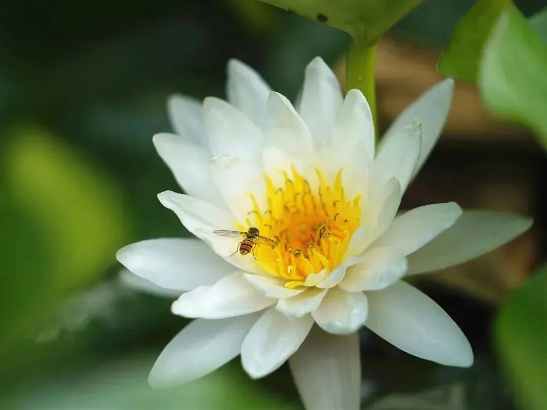 夏至•父亲节•中考-第4张图片-四季读书网 夏至•父亲节•中考-第4张图片-四季读书网