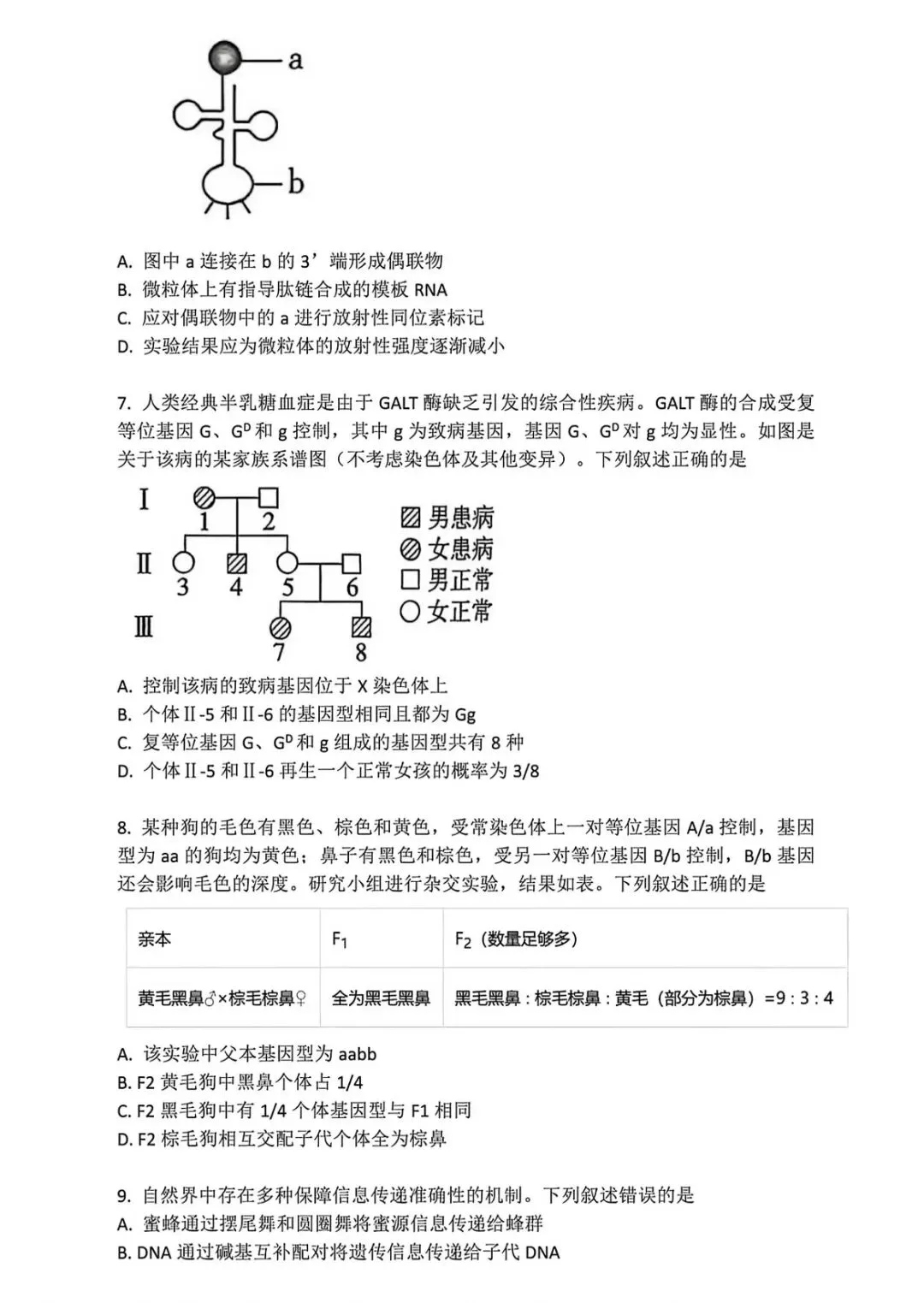 2026贵州高考真题卷-第2张图片-四季读书网