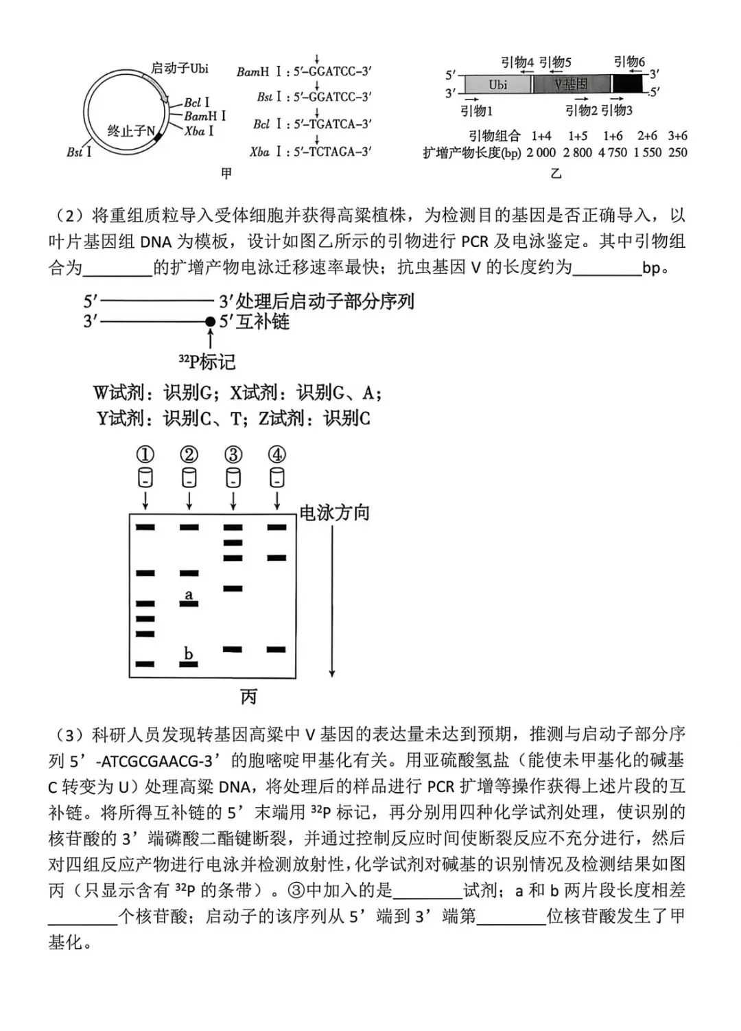 2026贵州高考真题卷-第7张图片-四季读书网
