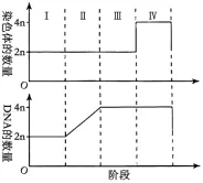 高考真题‖河南省2026年普通高中学业水平选择性考试生物学[试卷附网络版答案]-第3张图片-四季读书网