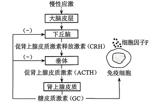 高考真题‖河南省2026年普通高中学业水平选择性考试生物学[试卷附网络版答案]-第6张图片-四季读书网