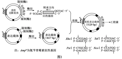高考真题‖河南省2026年普通高中学业水平选择性考试生物学[试卷附网络版答案]-第7张图片-四季读书网