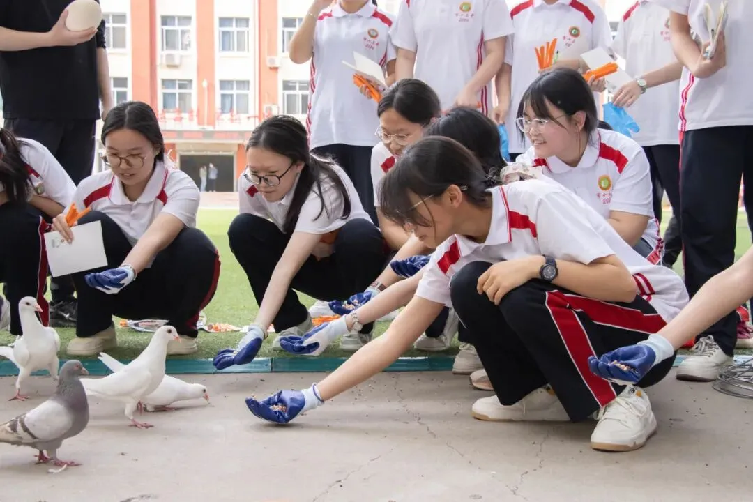 中考加油 我们这里等你!-第28张图片-四季读书网 中考加油 我们这里等你!-第28张图片-四季读书网