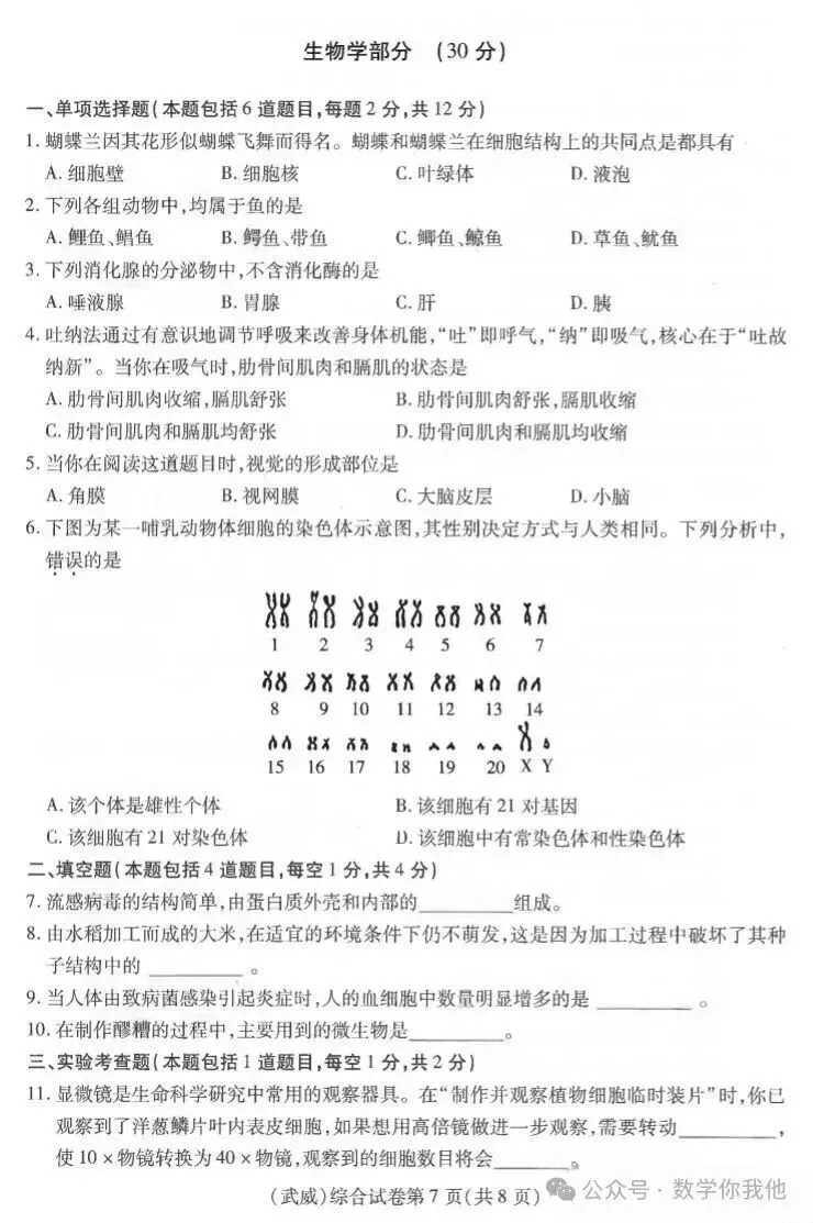 2026中考真题:甘肃省中考全学科试卷含答案(可下载)-第66张图片-四季读书网 2026中考真题:甘肃省中考全学科试卷含答案(可下载)-第66张图片-四季读书网
