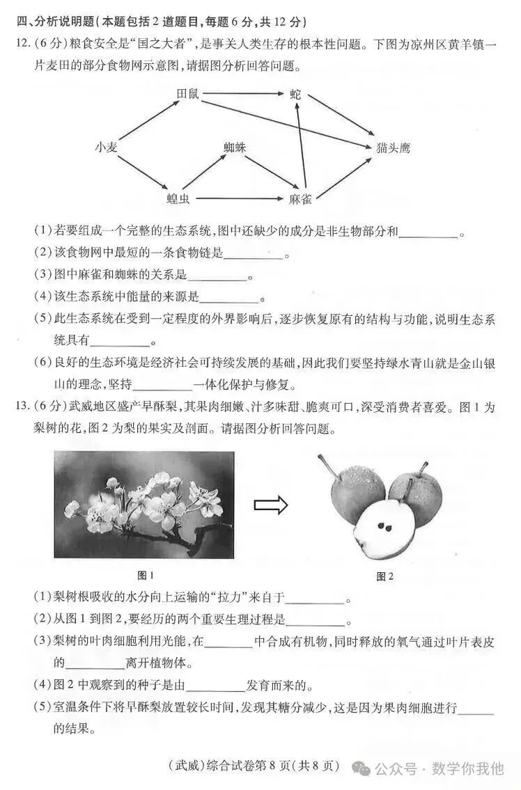 2026中考真题:甘肃省中考全学科试卷含答案(可下载)-第67张图片-四季读书网 2026中考真题:甘肃省中考全学科试卷含答案(可下载)-第67张图片-四季读书网