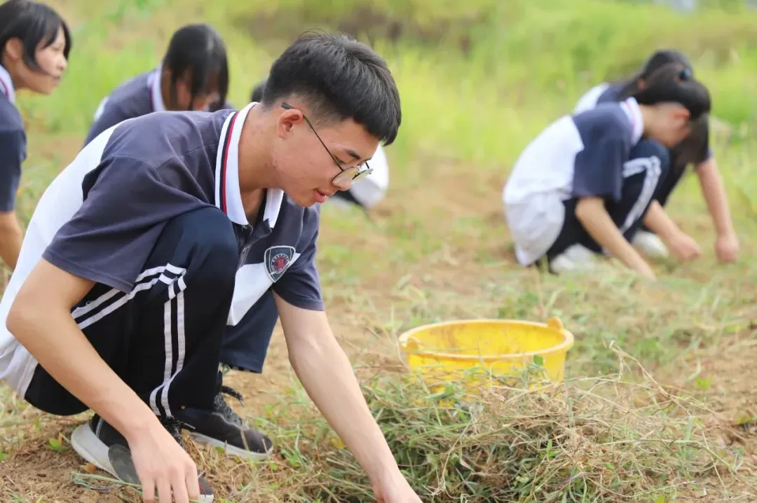 思南县第九中学2026年中考自主招生简章-第65张图片-四季读书网 思南县第九中学2026年中考自主招生简章-第65张图片-四季读书网