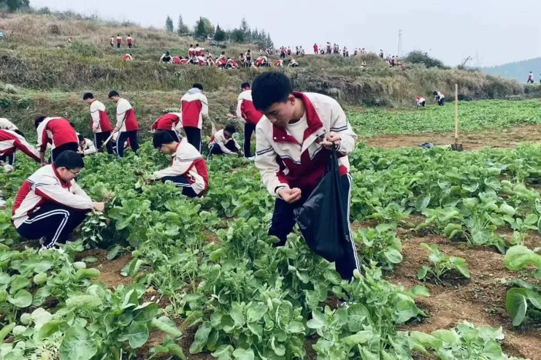 思南县第九中学2026年中考自主招生简章-第67张图片-四季读书网 思南县第九中学2026年中考自主招生简章-第67张图片-四季读书网