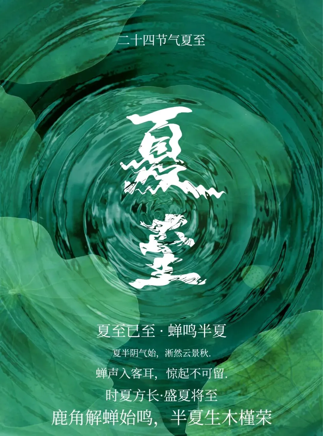 二十四节气真题链接和预测题-第48张图片-四季读书网 二十四节气真题链接和预测题-第48张图片-四季读书网