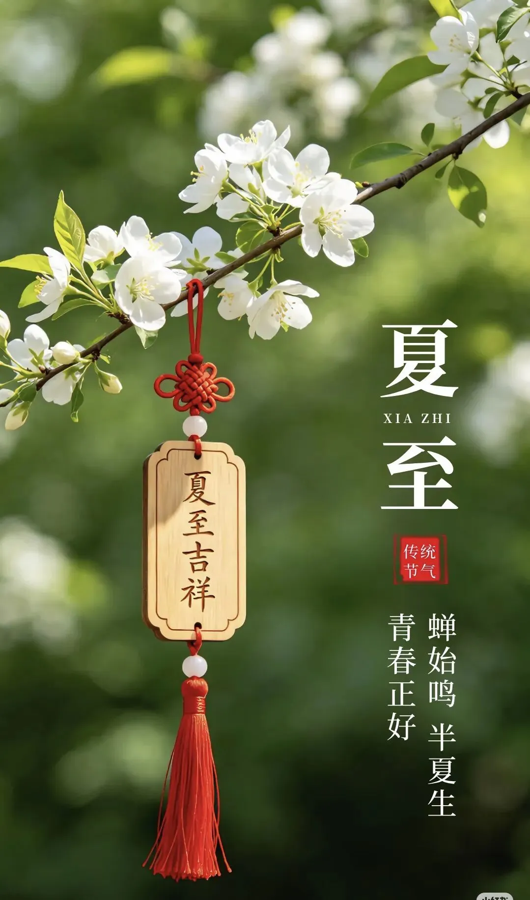 二十四节气真题链接和预测题-第49张图片-四季读书网 二十四节气真题链接和预测题-第49张图片-四季读书网