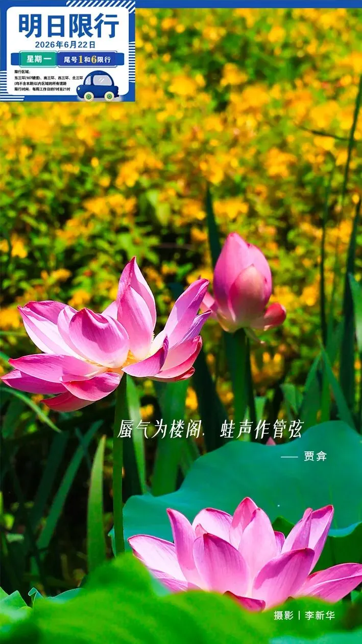 晚安郑州|明日中考,郑州这些地方临时交通管制/侵华日军将动物血液注入人体/马斯克拿下7800亿元天价薪酬-第24张图片-四季读书网