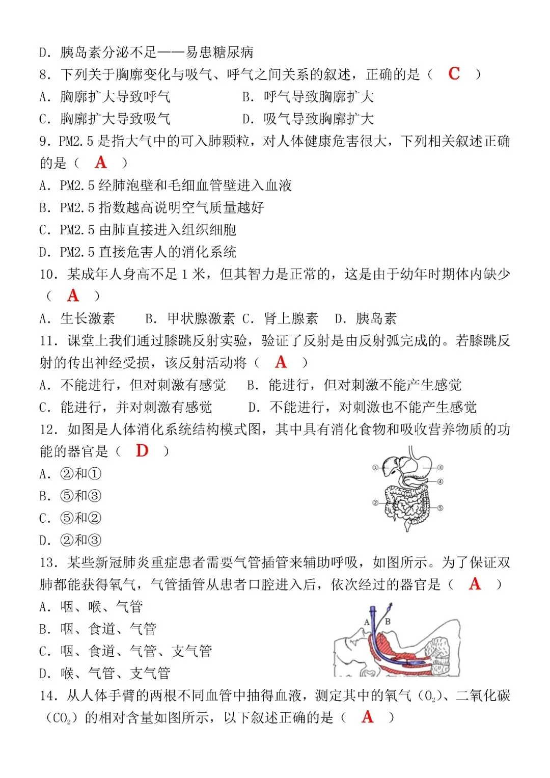2026年七下生物期末终极真题检测卷(含答案),七年级的家长可打印给孩子!-第5张图片-四季读书网 2026年七下生物期末终极真题检测卷(含答案),七年级的家长可打印给孩子!-第5张图片-四季读书网