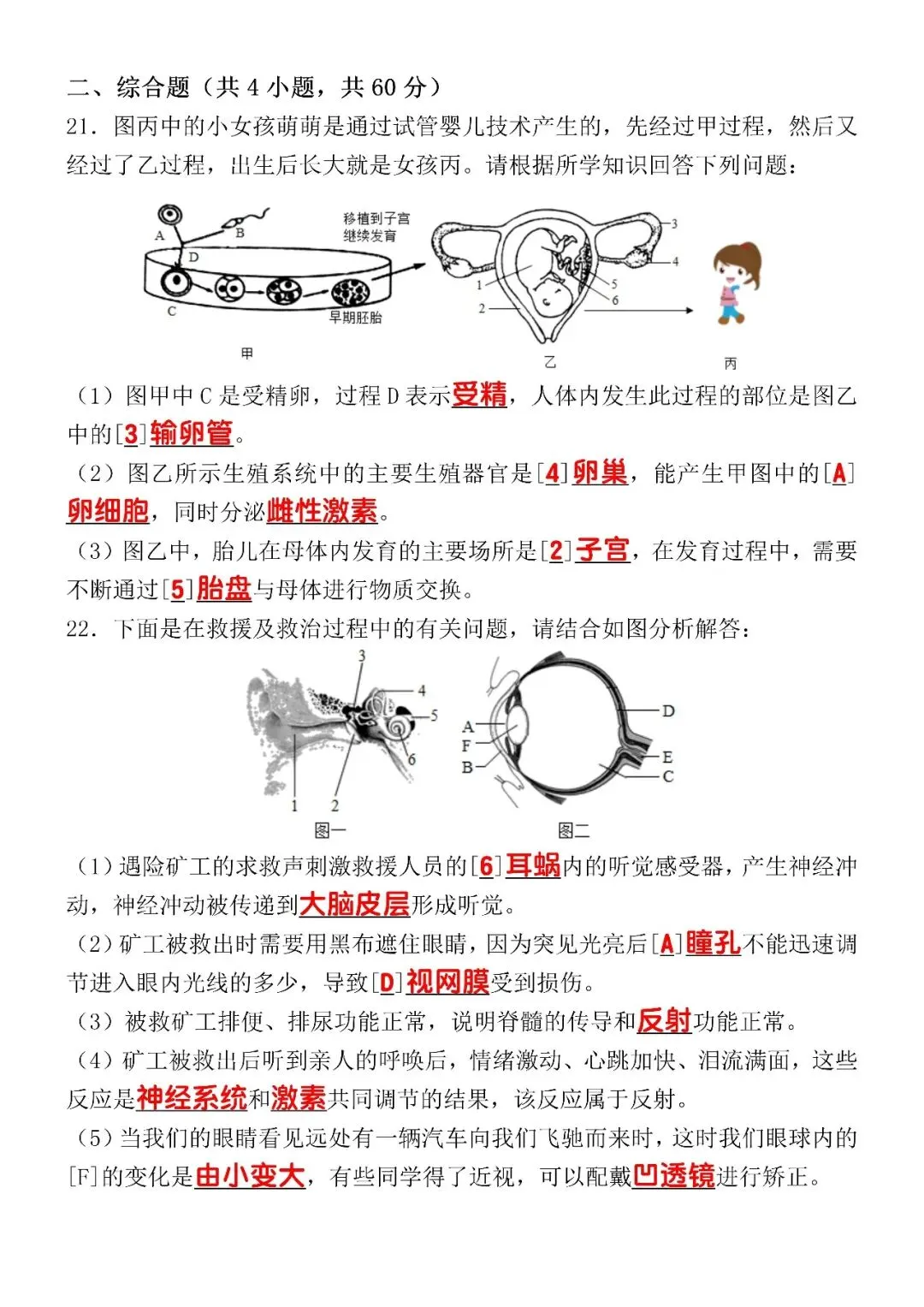 2026年七下生物期末终极真题检测卷(含答案),七年级的家长可打印给孩子!-第7张图片-四季读书网 2026年七下生物期末终极真题检测卷(含答案),七年级的家长可打印给孩子!-第7张图片-四季读书网