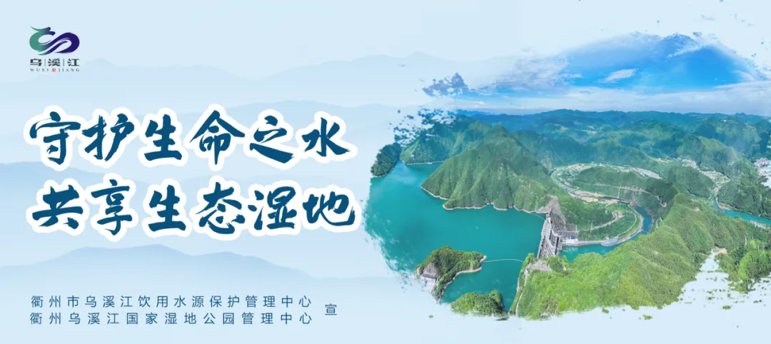 中考查分时间公布!历年市区普通高中录取分数线了解下~-第17张图片-四季读书网 中考查分时间公布!历年市区普通高中录取分数线了解下~-第17张图片-四季读书网