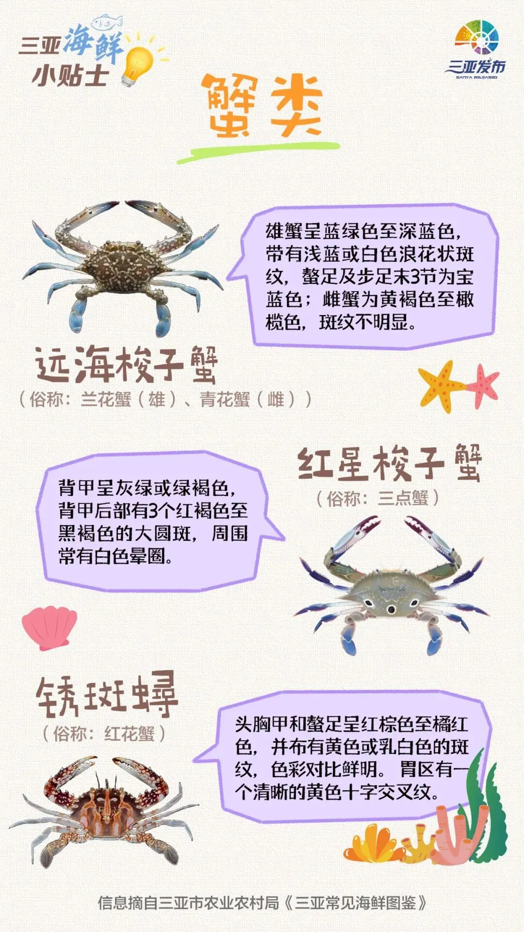 中考期间,三亚这些道路将实行交通管制→-第5张图片-四季读书网