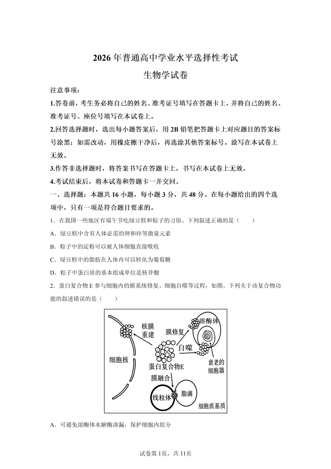 高考真题|2026年陕西省高考生物试卷(含解析)-第1张图片-四季读书网